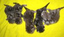 DSCN6168.jpg