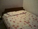 DSC03714q.jpg