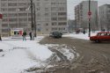 IMG_2679.jpg