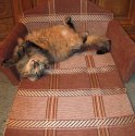 IMG_0561_1.JPG