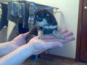15042010315.jpg