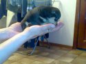 15042010314.jpg