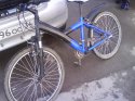 DSC00180.JPG