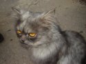 DSC01630.JPG