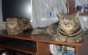DSCN3261.jpg