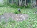 18052010108.jpg