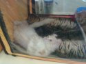 29052010211.jpg