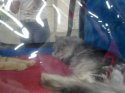 29052010238.jpg
