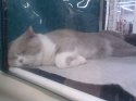 29052010255.jpg