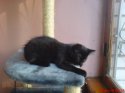 DSC00004.JPG