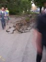 SDC11021 1.jpg