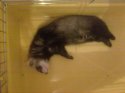 16062010108.jpg