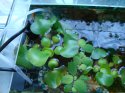 DSC02119.JPG