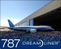 787.jpg