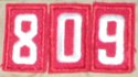809.jpg