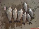 DSC00221_rs.jpg
