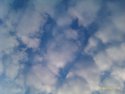 IMAG0048.jpg