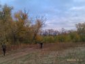 IMAG0066.jpg
