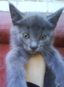 DSC00640.JPG
