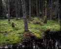 valaam004_multi4 [Desktop Resolution].jpg