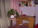 DSCN5063.jpg