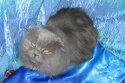 DSCN7932.jpg