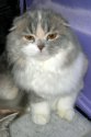DSCN7938.jpg