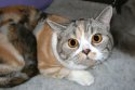 DSCN7940.jpg