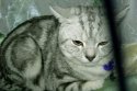 DSCN7946.jpg
