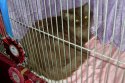 DSCN7954.jpg