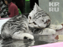 1249354.gif
