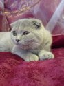 DSC00481.JPG