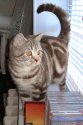 DSCN8343.jpg