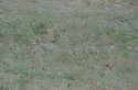 DSC02943.jpg
