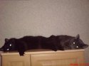 DSC00464.JPG