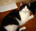 DSC02501.JPG