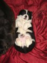 DSC02530.JPG