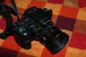 DSC07792.JPG