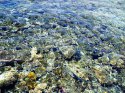 DSC03090.JPG