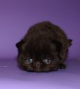 DSC05616.JPG