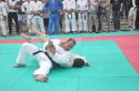 DSC_0293.jpg