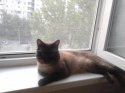 2011-07-15 21.05.26.jpg