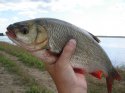 DSC07139.JPG