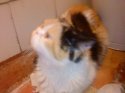 DSC00164.JPG