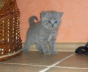 CIMG02981.JPG