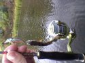 ----0016.jpg