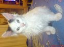DSC00613.JPG