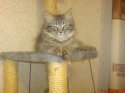 DSC00617.JPG