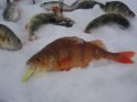 DSC07903.jpg