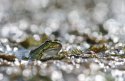 IMG_7573.jpg